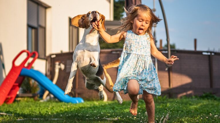 The most common animals that attack kids in backyards