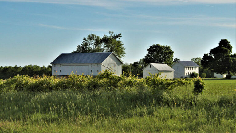 The kinds of cover predators use when they don’t want to be seen