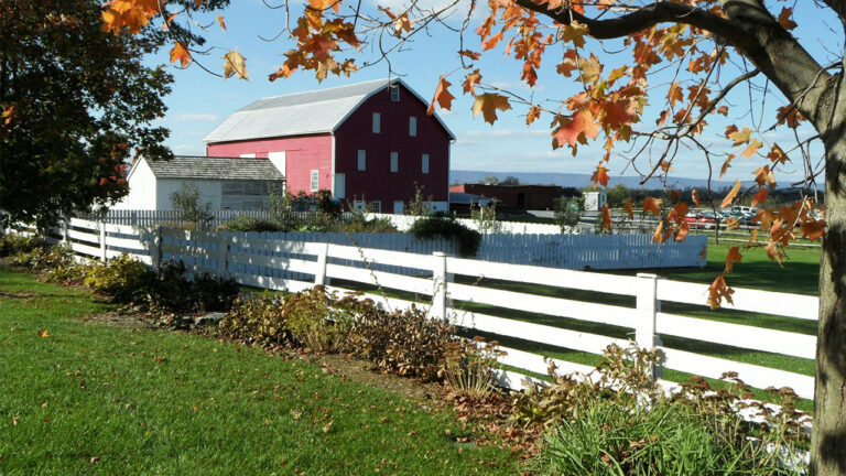 Things That Make Me Think You’ve Never Owned Land, Just Opinions About It