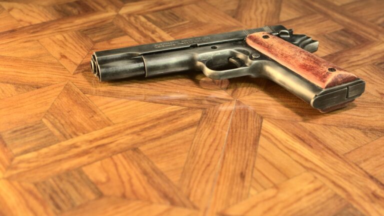 Gun owner says his pistol fell out of a safe, hit the floor, and fired so close it grazed his head