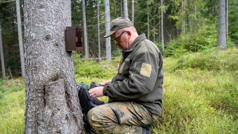 Hunters swap stories about hiding trail cams high in trees because thieves keep stealing anything they can reach