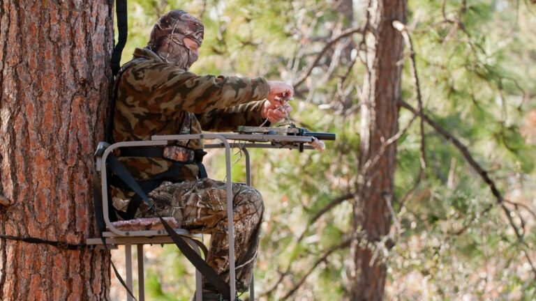 Hunter says a stranger climbed into his tree stand while he was gone — and left behind a camera full of his own photos