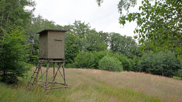 Hunter says a trespasser kept showing up around his blind during the rut — and a missing thumb may have helped identify who it was