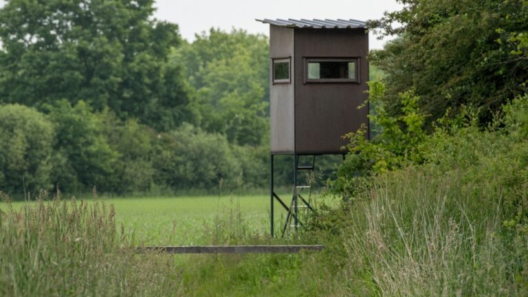 I thought the stand was in the perfect spot until the wind turned on me