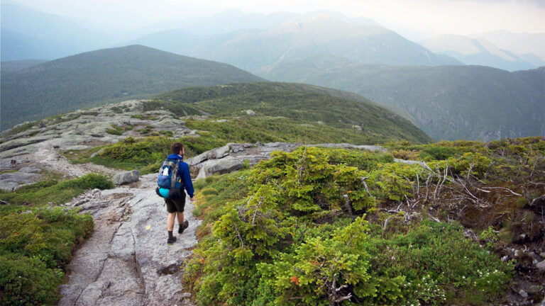 15 U.S. states where tick problems are worst for hunters and hikers