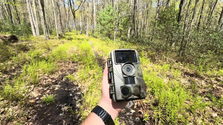 Hunter says trespassers kept pulling memory cards from his cameras — and then left a severed deer head where he enters the property