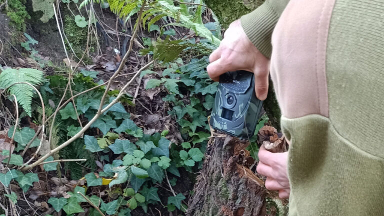 Hunter says two trail cameras vanished from private land — and by the time he called the manufacturer, all they could really do was deactivate them