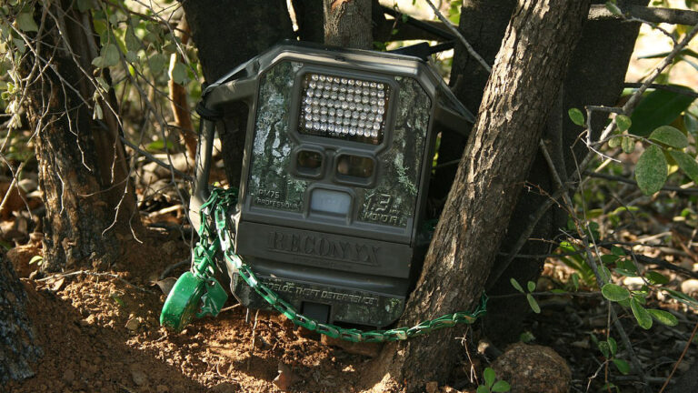 15 trail-cam laws and mistakes that get hunters ticketed