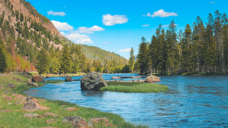 15 surprising facts about state wildlife management areas