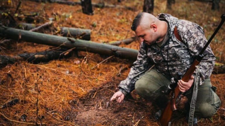 What to Do When You Think Someone Is Baiting Illegally Nearby