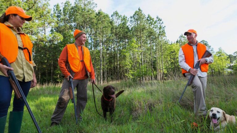 The Little Hunting Habits That Make You Hard to Trust Fast
