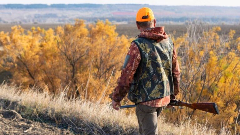 What to Watch for When Hunting Pressure Suddenly Increases