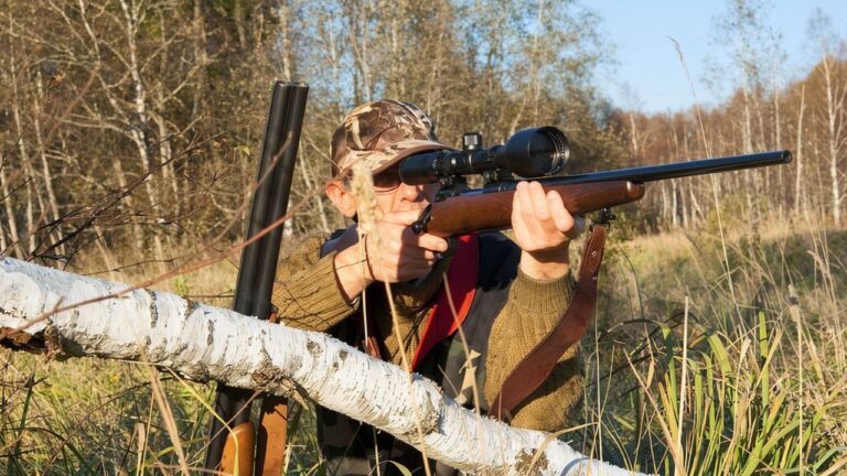 When a “Good Hunting Spot” Starts Letting You Down