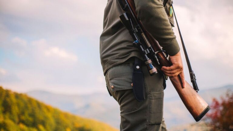 What actually matters when choosing a hog gun