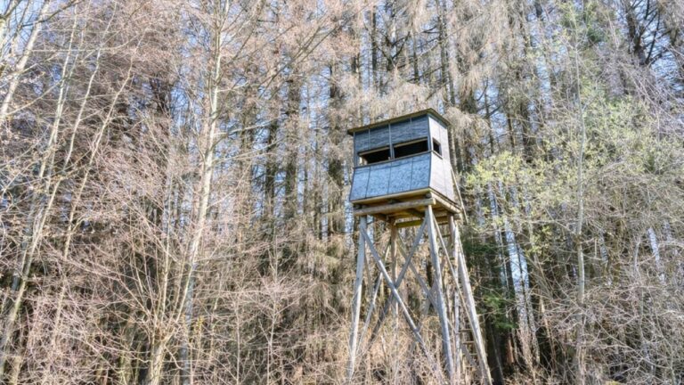Landowners say they found a deer stand built on their posted property — and it was set high enough to make their own stands unsafe