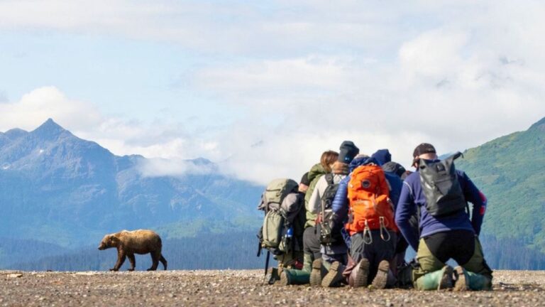 What actually matters more than caliber in a bear encounter