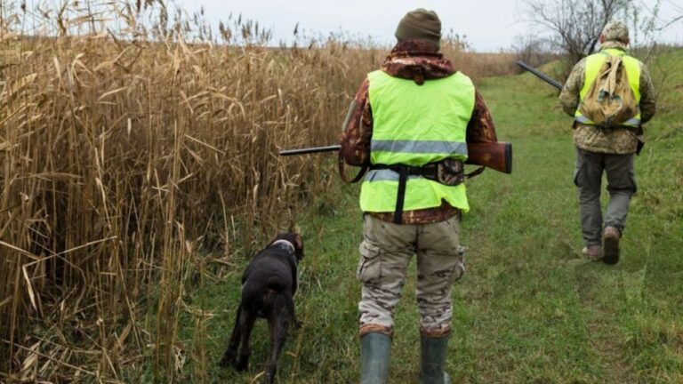 Mistakes New Hunters Make That Cause Problems Fast on Shared Land