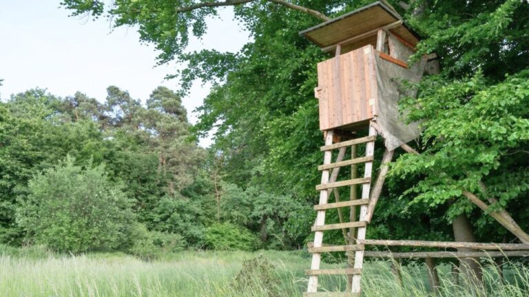 What to do when someone hangs a deer stand on land you hunt