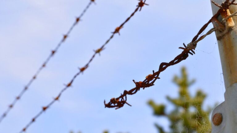 Why landowners regret ignoring the first cut fence wire