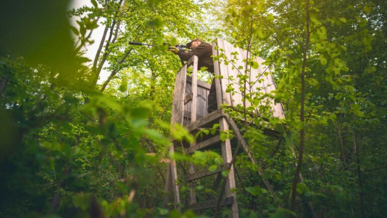 The sign your hunting setup is not as hidden as you think