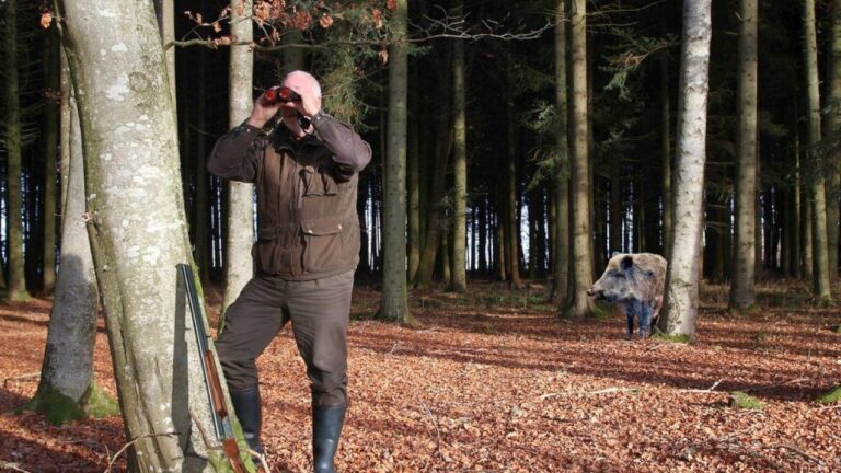 Hunter says he smelled wild boar before he heard a single thing — and the only sound came after he stepped on a branch and something big crashed just 20 feet behind him