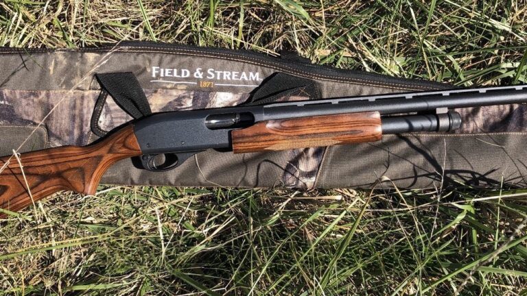 Guns people dismissed as plain until plain started looking smart