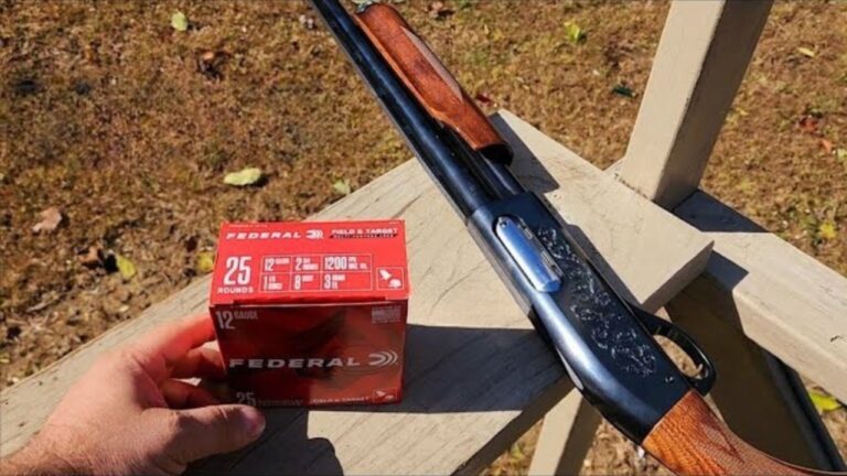 Guns that looked ordinary until they were gone