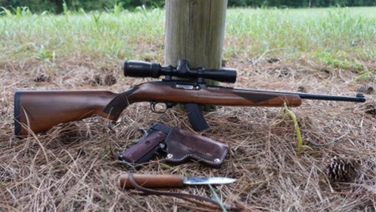 Guns people swore were nothing special until the shelves told a different story