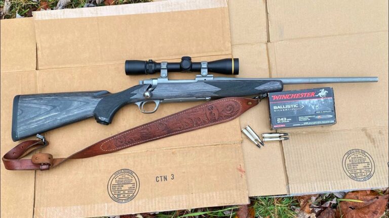 The rifles that didn’t need a comeback because they never really left