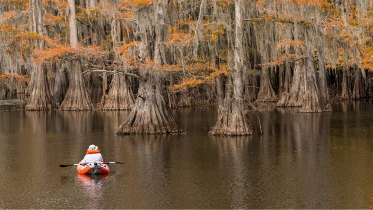Fishermen Were Asked for Their Most Terrifying Stories, and the Caddo Lake Kayak Tale Got Weird Fast