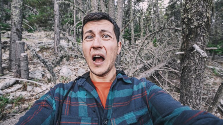 Campers say they heard what sounded like a woman screaming bloody murder in the woods all night — and the ranger’s explanation the next morning only made it weirder