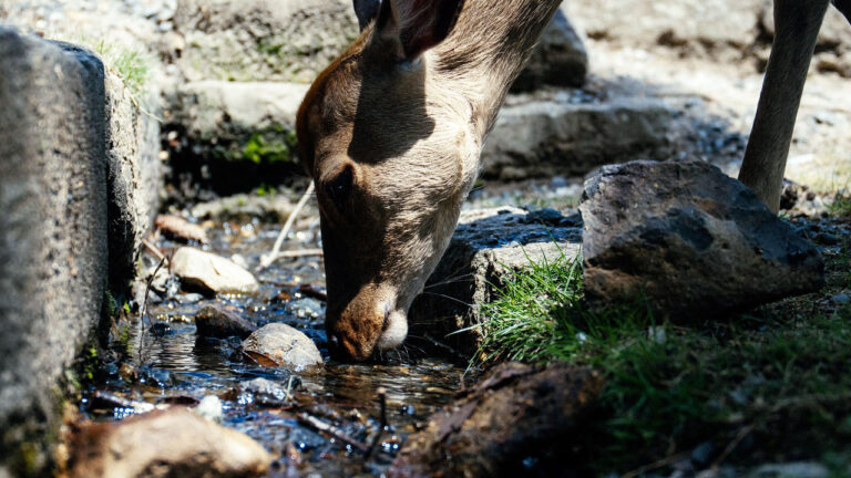 15 states where water access is changing hunting patterns