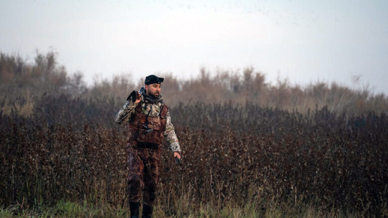 15 states where public-land hunting feels crowded for a reason