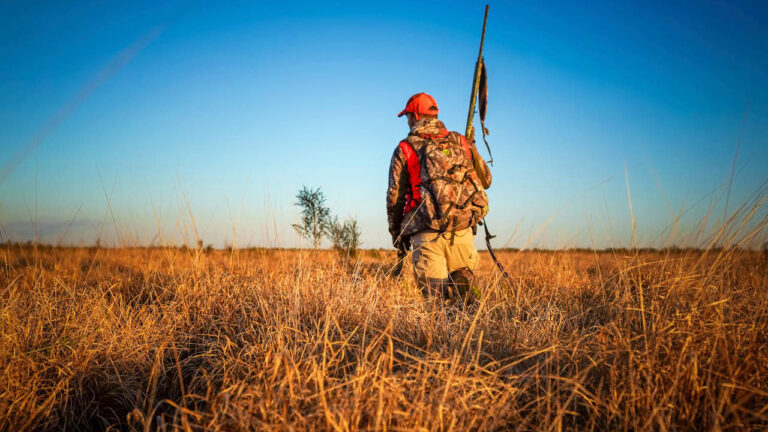 15 states where hunters are relocating for better opportunity