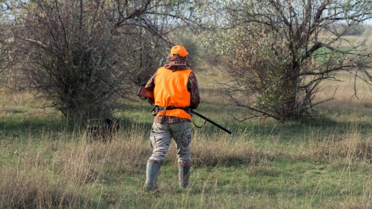 Why public land hunters need to know when to walk away