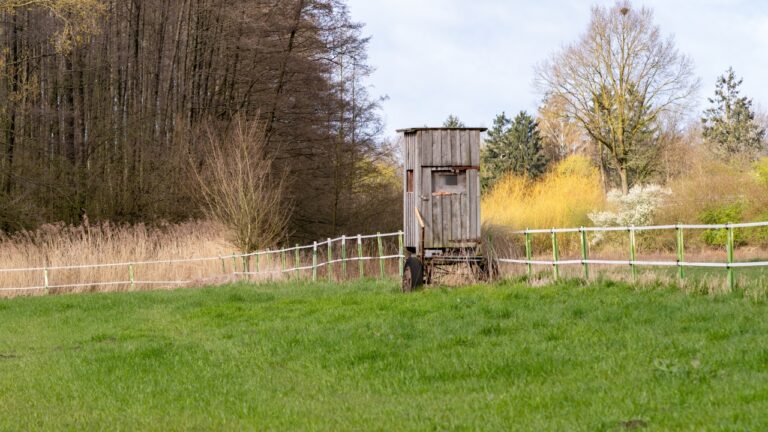 The property-line mistake that can ruin hunting season fast