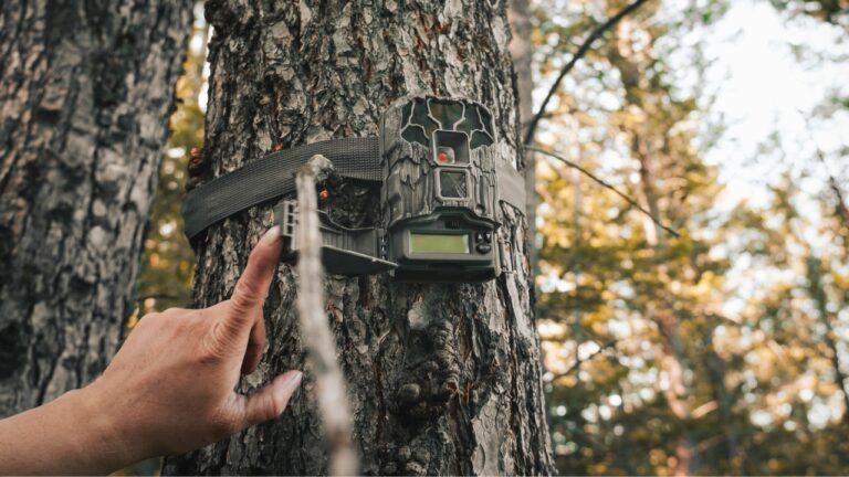 Hunter says a trespasser walked onto his property, moved his trail camera, and left it pointing at the ground like a message