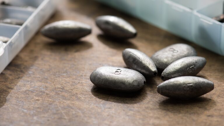 Angler Says a Game Warden Fined Him Over Lead Sinkers — Then the Rules Got Messy