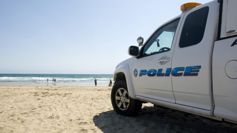 Shark Fishermen Cleared It With Police — Then Someone Called the Cops Anyway