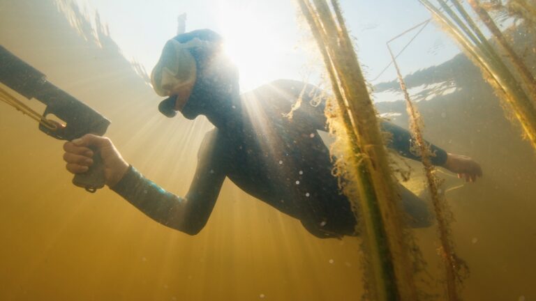 A Barracuda Stole His Fish During His First Spearfishing Trip