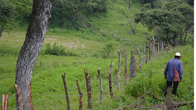 How to handle trespassers without making yourself the problem