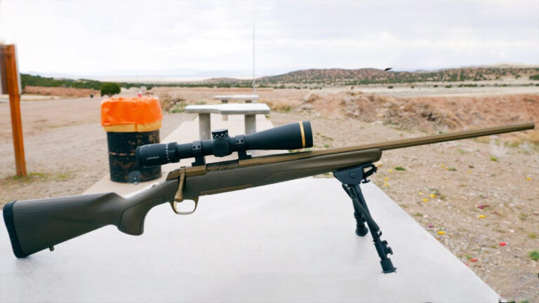 15 rifles that make bargain accuracy feel like only half the story