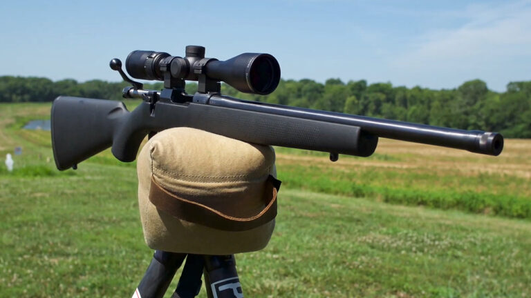 15 firearms that looked too plain until shooters started trusting them