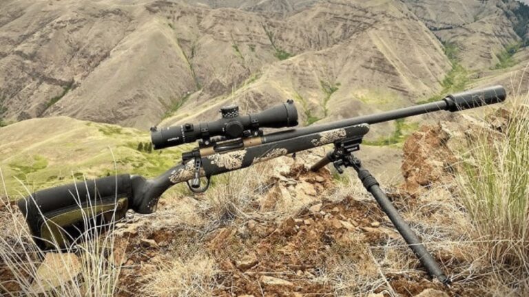 Firearms that cost too much for what they deliver