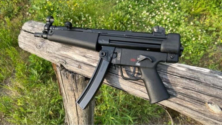 Guns that prove expensive does not mean better