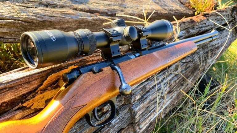 Firearms people slept on too long