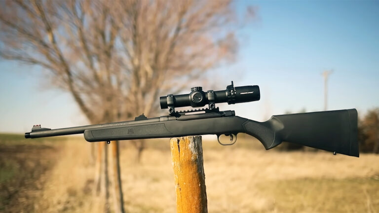 15 rifles that outworked guns with better marketing