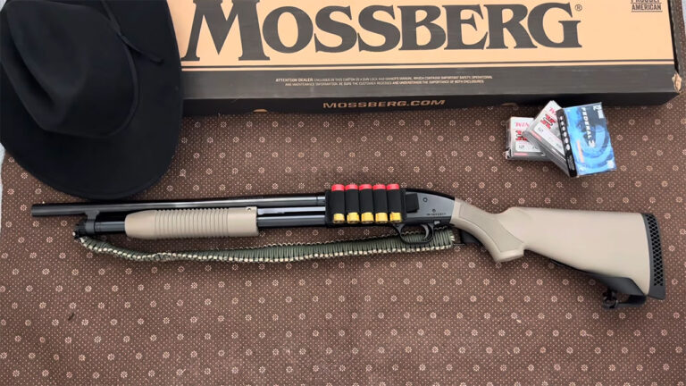 15 firearms that quietly turned into the smart buy