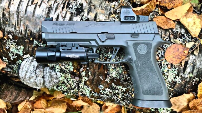 15 guns that are all reputation