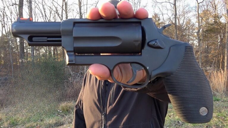 Firearms that fail the reputation test